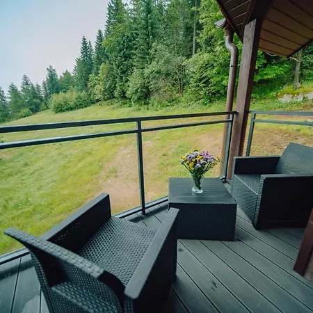 Silence Karpatia Delux Z Wanna 公寓 *