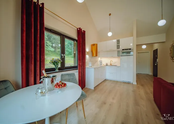 Apartment Silence Karpatia Delux Z Wanna *